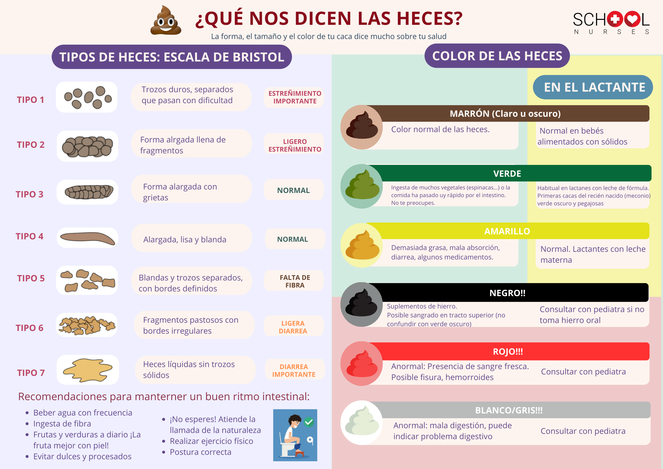 TIPOS DE HECES